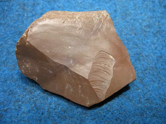 Radiolarit